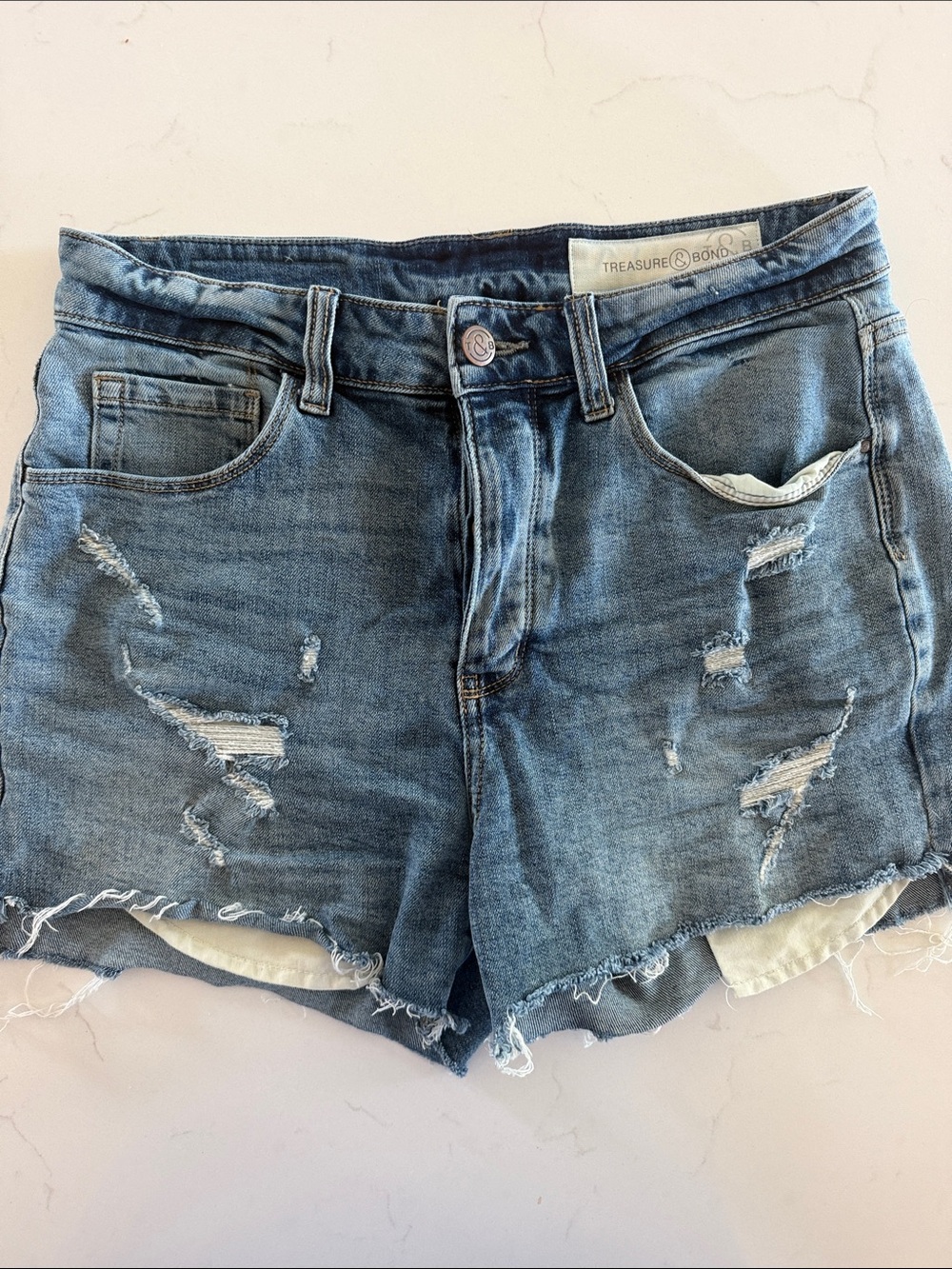Treasure & Bond Blue Distressed Frayed Denim Shorts